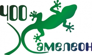 Фирма хамелеон. Логотип хамелеона на одежде. Kameleon Company.